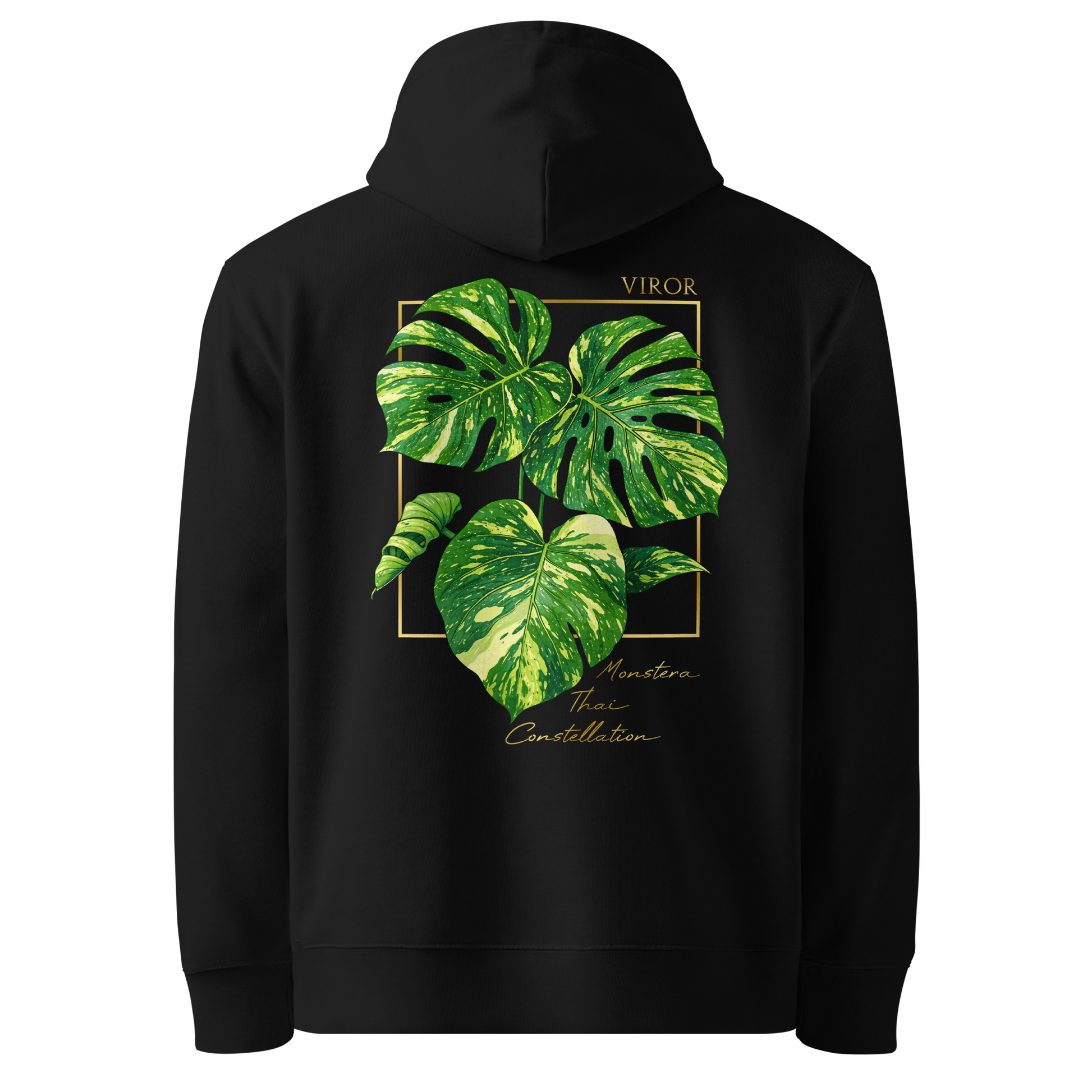 Hoodie noir en coton bio avec illustration de plante rare Monstera thai constellation par Viror