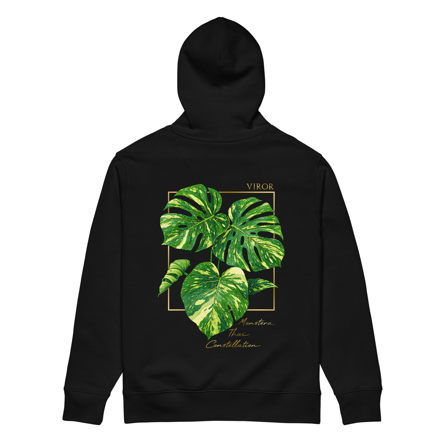 Hoodie noir de dos en coton bio avec illustration de plante rare Monstera thai constellation par Viror