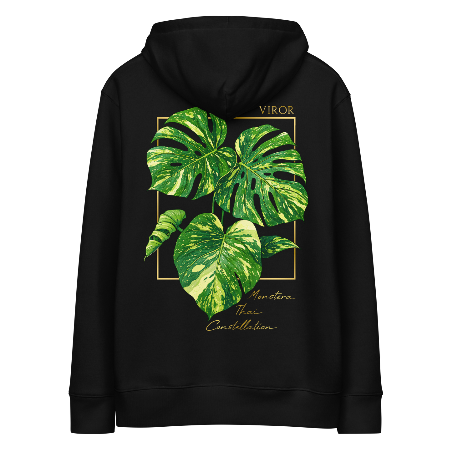 Hoodie noir de dos en coton bio avec illustration de plante rare Monstera thai constellation par Viror