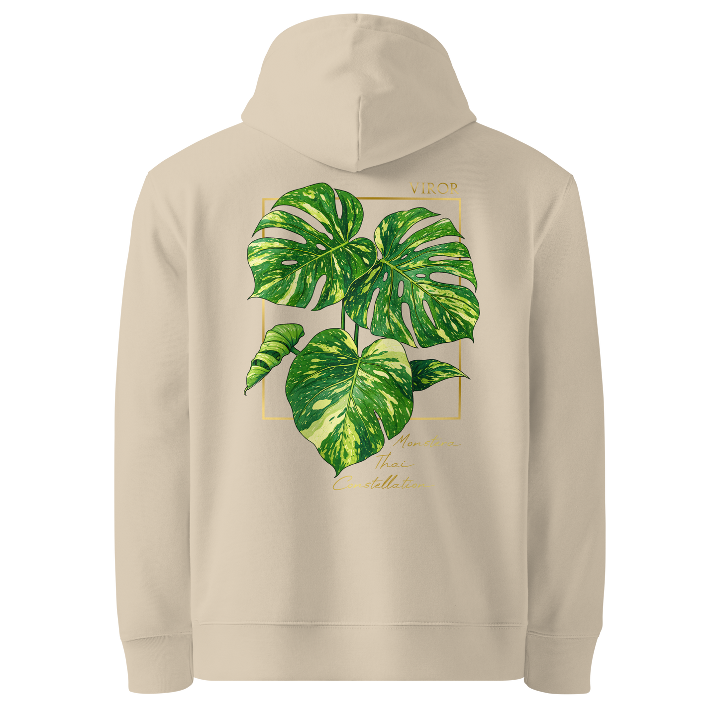 Hoodie ivoir en coton bio avec illustration de plante rare Monstera thai constellation par Viror