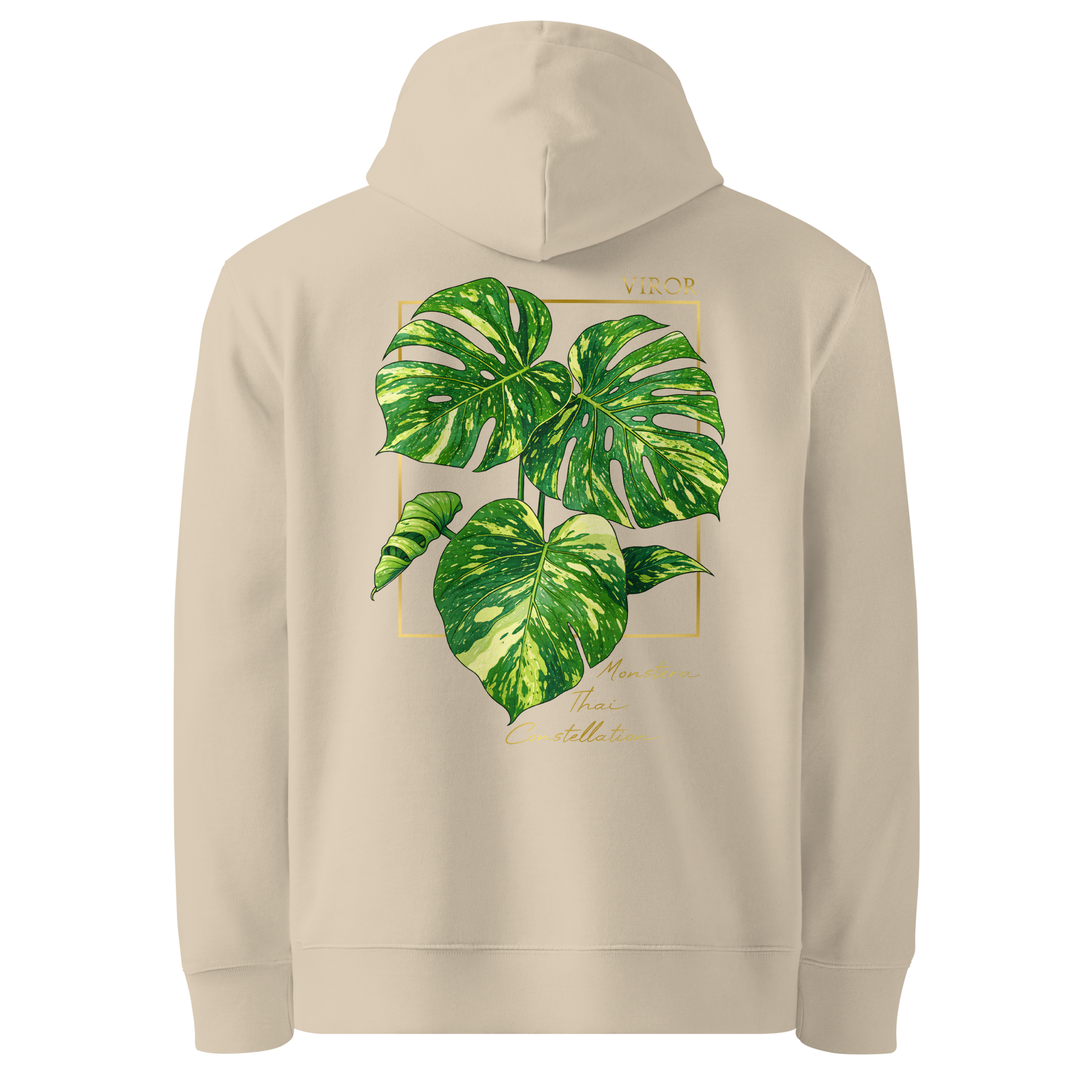 Hoodie ivoir en coton bio avec illustration de plante rare Monstera thai constellation par Viror