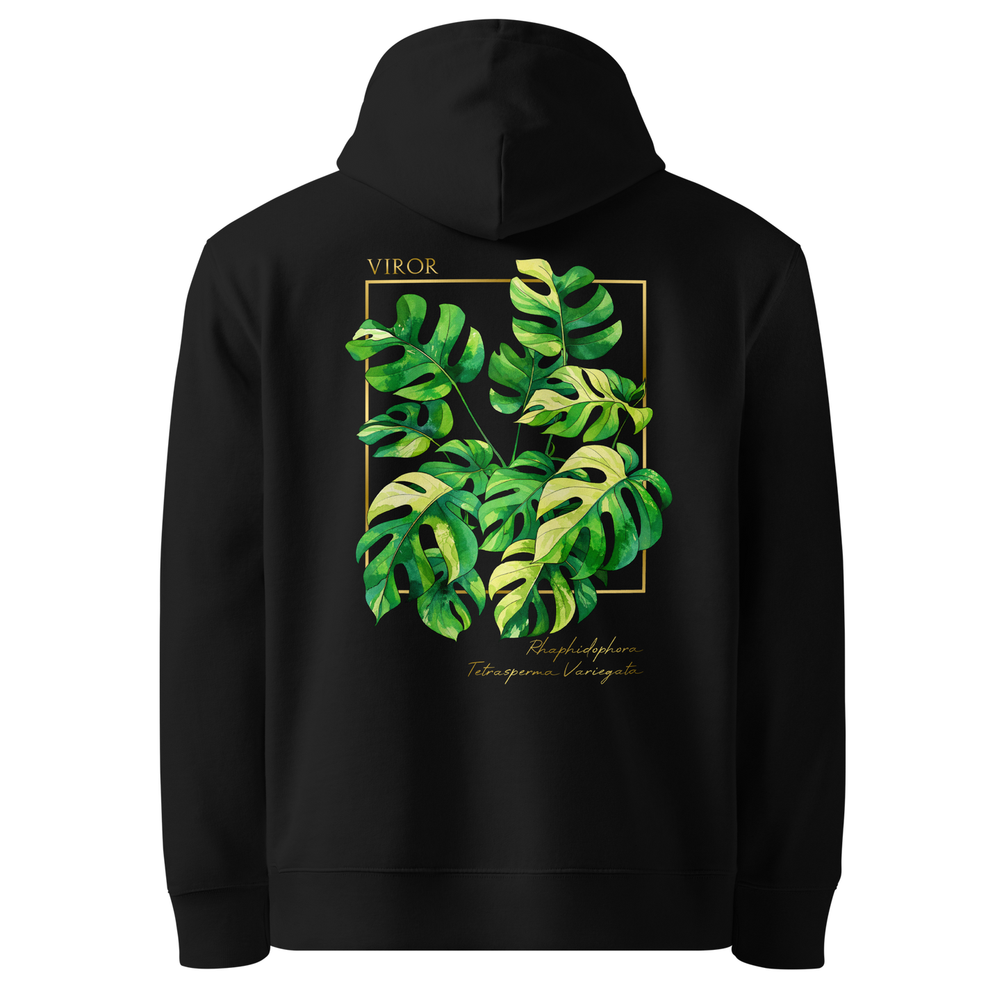 Hoodie bleu marine en coton bio avec illustration de plante rare Rhaphidophora Tetrasperma Variegata par Viror.