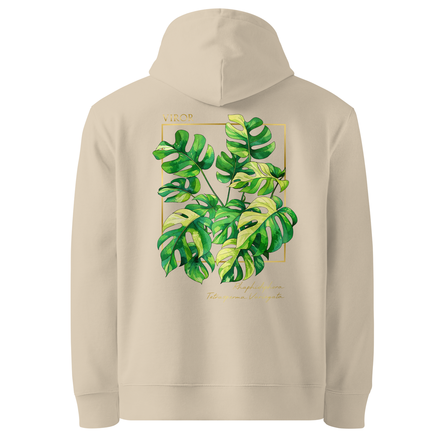 Hoodie bleu marine en coton bio avec illustration de plante rare Rhaphidophora Tetrasperma Variegata par Viror.