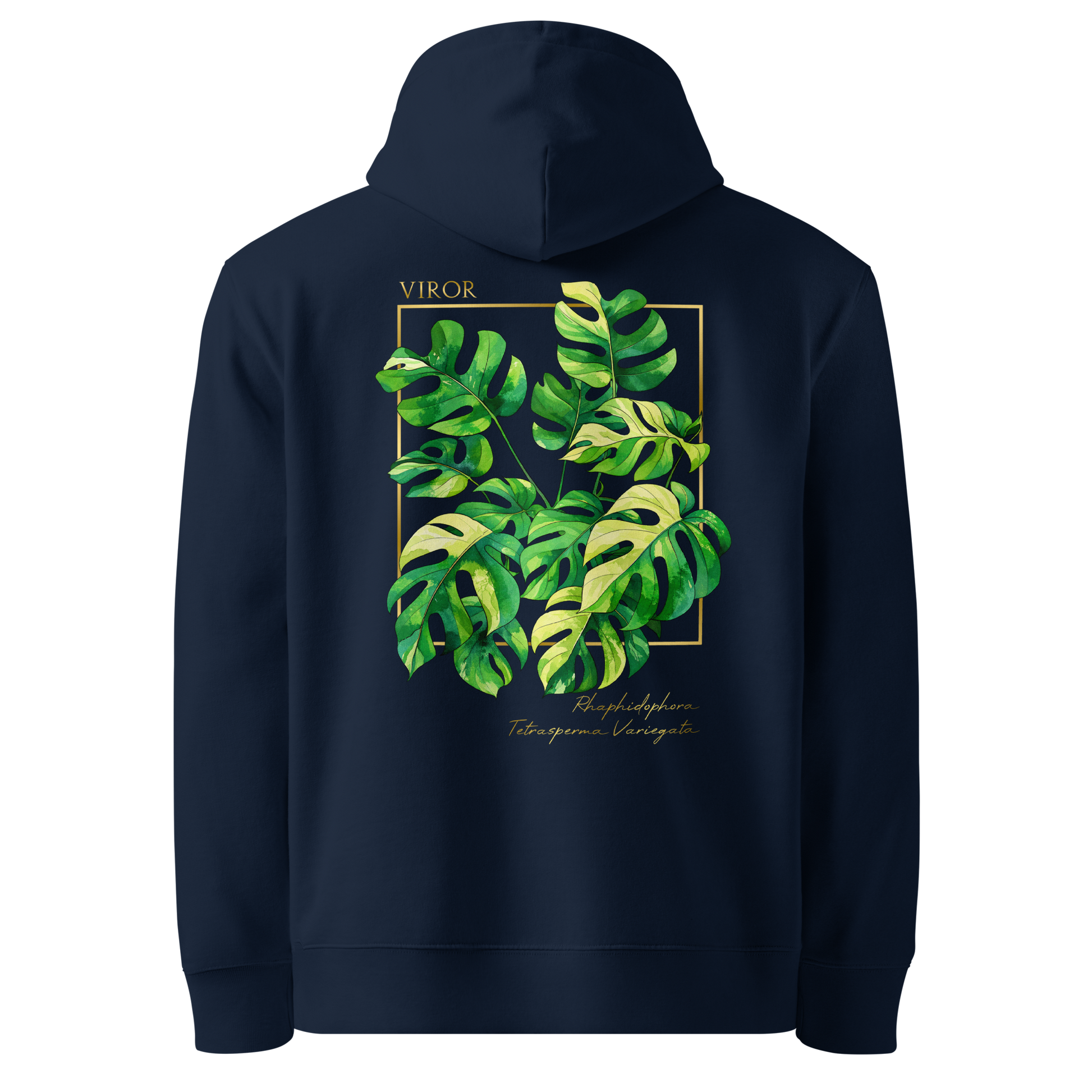 Hoodie bleu marine en coton bio avec illustration de plante rare Rhaphidophora Tetrasperma Variegata par Viror.