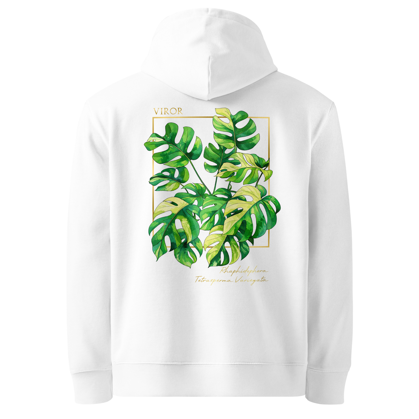 Hoodie bleu marine en coton bio avec illustration de plante rare Rhaphidophora Tetrasperma Variegata par Viror.