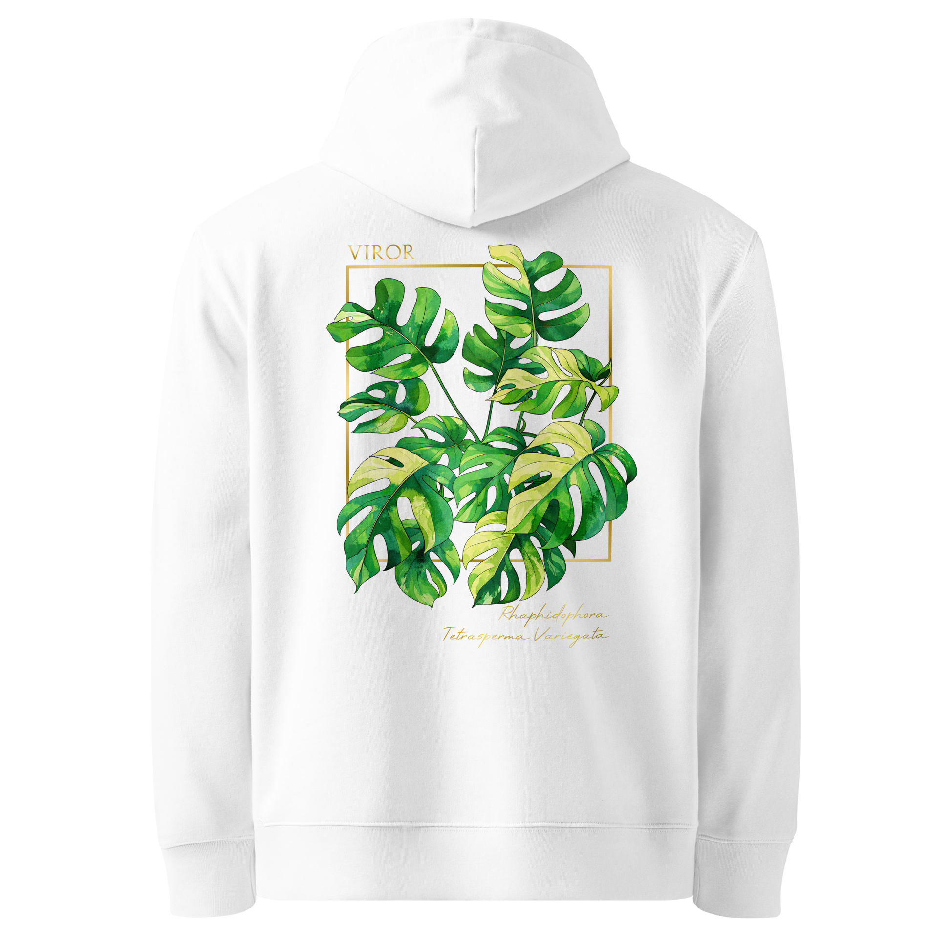 Hoodie bleu marine en coton bio avec illustration de plante rare Rhaphidophora Tetrasperma Variegata par Viror.